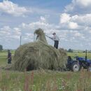 Zaměstnávání cizinců v zemědělství v roce 2025