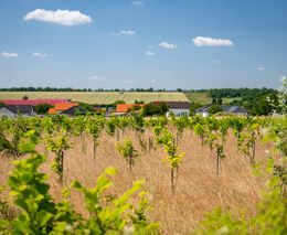 Tyto projekty nejlépe připraví na změnu klimatu. Hlasujte a vyberte ten nejlepší