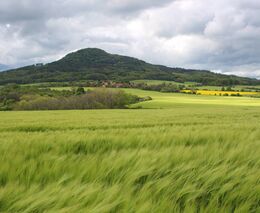 Další změna zemědělské politiky? Komise chce zrušit povinnost kontrol skrze fotografie o poloze