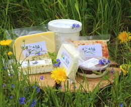 Září je měsícem biopotravin už po dvacáté. Spotřeba biopotravin v ČR setrvale roste