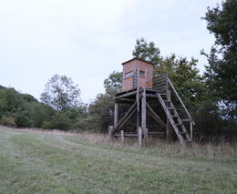 Rozdrobení honiteb nepomůže, tvrdí zástupce obcí. ‚Ani k tomu téměř nedojde,‘ řekl ochránce přírody