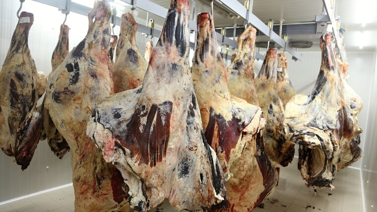 ČSÚ: Výroba masa ve 4. čtvrtletí v ČR rostla, chovatelé vyrobili méně vepřového 