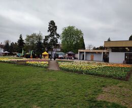 Hlavní expozice výstavy květin Flora Olomouc připomene království barev