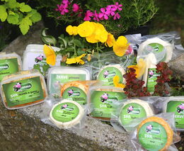 Týden v zemědělství podle Petra Havla - č. 3