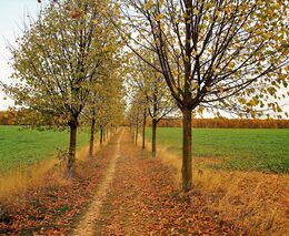 Do hry o post ministra zemědělství vstoupily největší organizace