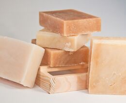 Kanadský startup recykluje potraviny. Z přebytků umí vyrobit mýdlo i alkohol