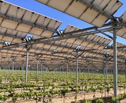 Agrivoltaiku brzdí zatím legislativa a vysoké ceny panelů