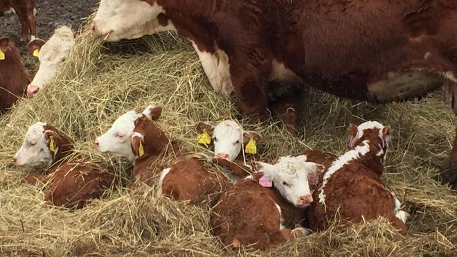 Biofarma Františkov