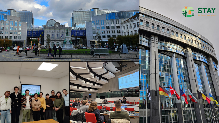 Závěrečné setkání k projektu STAY a mezinárodní diseminační konference v Bruselu