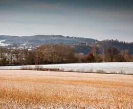 Státní zemědělský intervenční fond povede Petr Dlouhý