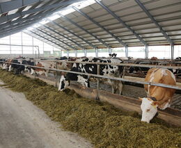 Souhrn připomínek ASZ ČR k Programu rozvoje venkova