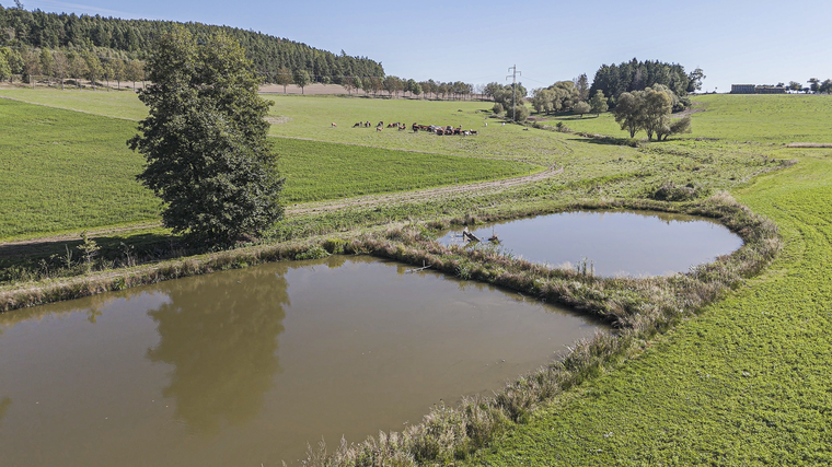 Rodinná farma Helmovi – další zlatá medaile v programu Pestrá krajina 2025