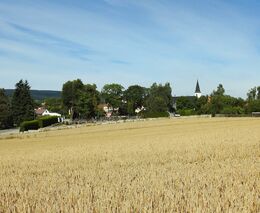 Komora: Zemědělci nemají dost peněz na nákup osiv, trh s obilovinami se zastavil
