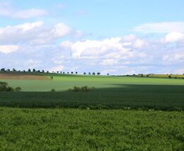Ústavní soud nevyhověl návrhu, který se týkal poskytování redistributivní platby zemědělcům