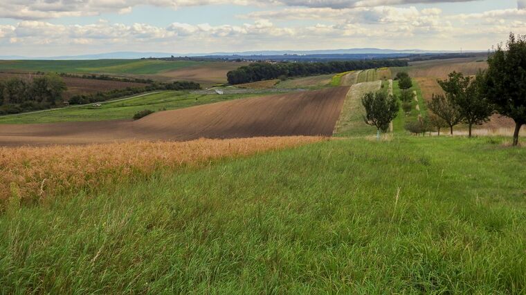 Seminář s Jean-Michelem Florinem: o biodynamickém zemědělství a goetheanismu