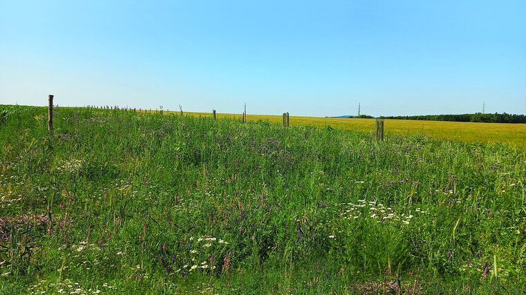 Neprodukční plochy – příležitost, nebo zbytečnost?