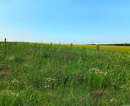 Neprodukční plochy – příležitost, nebo zbytečnost?