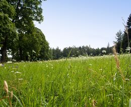 Pozvánka na Polní den Carboneg na Statku u Čadů