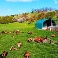 Farma Člupy naplňuje rčení „mysli globálně, jednej lokálně“