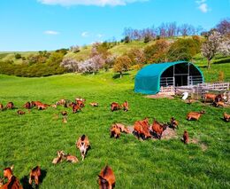 Poznali se na Novém Zélandu. Po návratu do Česka manželé rozjeli ekofarmu