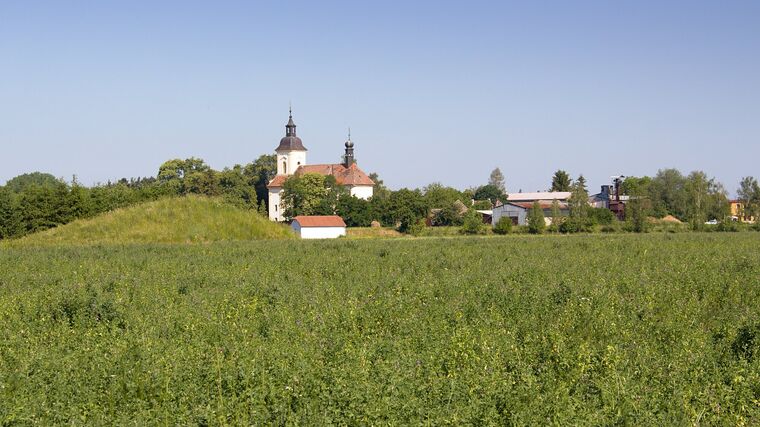 Farmáři můžou osít neprodukční plochy, rozhodla vláda. Zmenší se i jejich plocha 