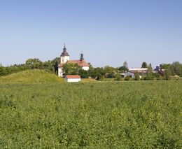 Farmáři můžou osít neprodukční plochy, rozhodla vláda. Zmenší se i jejich plocha