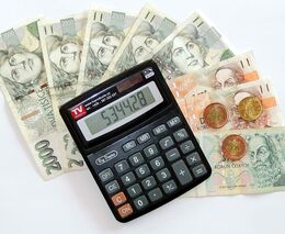 Zemědělství v minusu, jeden z největších holdingů přesto vydělal 300 milionů