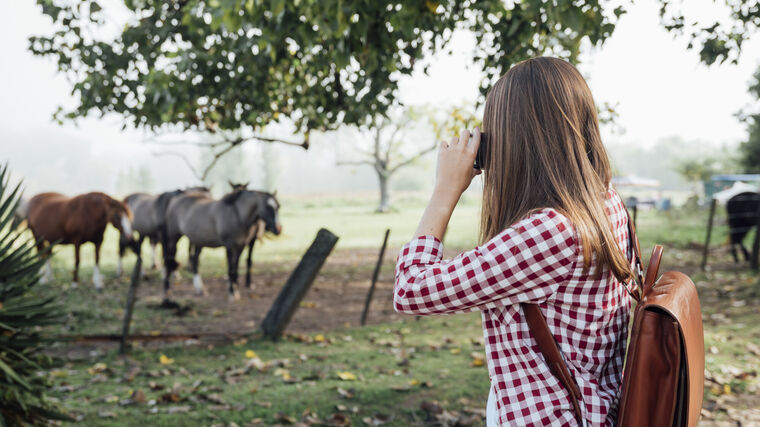 Kolik musí prohlídka vydělat, aby dávala farmě smysl