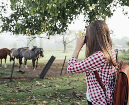 Kolik musí prohlídka vydělat, aby dávala farmě smysl