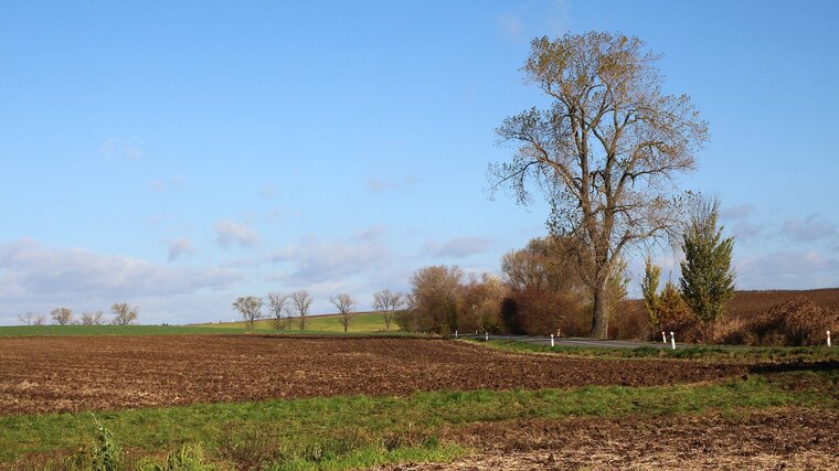 Zemědělec Šebek: Vláda chce nahrát velkým hráčům typu Agrofert. Jde o zásah do vlastnických práv