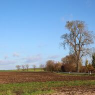 Zemědělec Šebek: Vláda chce nahrát velkým hráčům typu Agrofert. Jde o zásah do vlastnických práv