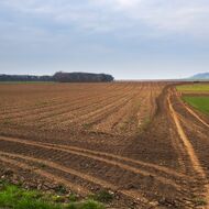 Na opatření Prémiová ekoplatba vydá SZIF přes 92,5 milionu korun 