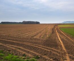 Boj o půdu. Zemědělcům na Vysočině dělají starosti překupníci