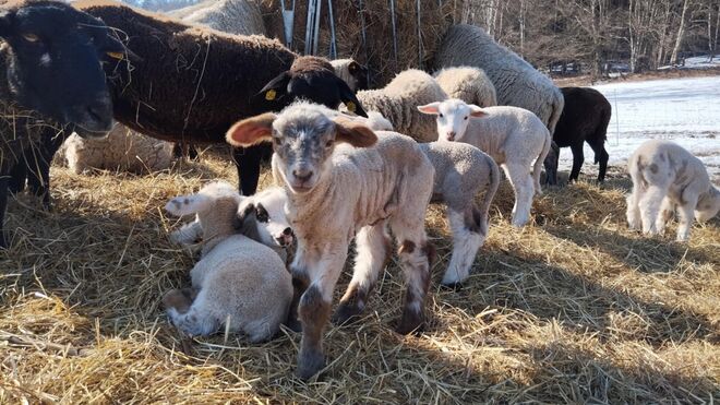 Bio farma Bedřichov