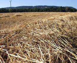 Biouhel prospívá farmářům i klimatu. Spalování slámy má potenciál zmírnit dopady klimatické změny