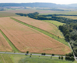 Ječmínkovy sady – stříbrná medaile v programu Pestrá krajina 2024