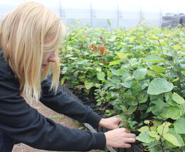 MENDELU získala téměř 100 milionů z Národního plánu obnovy, otevře nové studijní programy