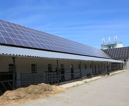 Výborný: Evropská komise navrhuje snížit kontroly na farmách na jednu ročně