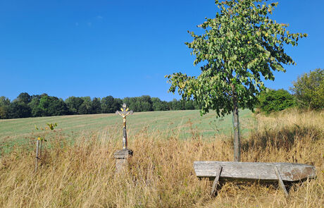 Pestrá krajina 2025