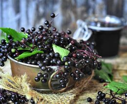 Regionální zemědělce a řemeslníky představili na křížovském trhu