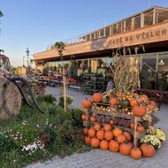 Z malé farmy na stovky hektarů: příběh Farmy Vraňany