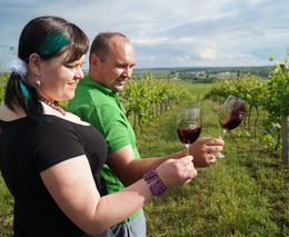 Chcete se stát vinařem?