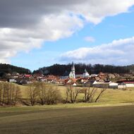 Zelená krev teče proudem. Ministerstvo životního prostředí se rozhodlo české přírodě pustit žilou