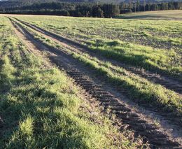 Zdravá půda – náš odkaz dalším generacím IV