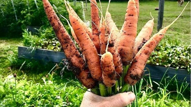 Restaurace a statek U Roubené studny