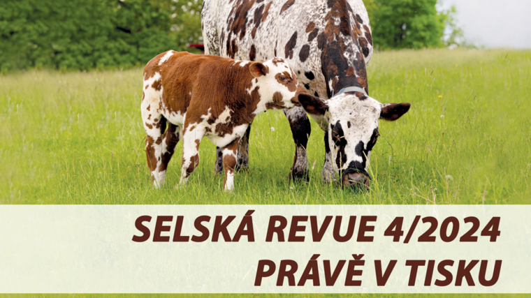 Selská revue č. 4/2024 je již v tisku 