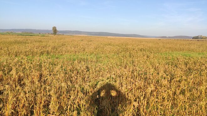 Rodinná farma Rotrekl