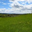 Pozvánka na konferenci „Ekologie travního porostu X.“