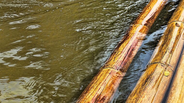 AP: Budoucnost zemědělství na vodě - krávy na lodích, sazenice na vorech 