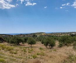 Setkání mezinárodního konsorcia projektu AGRIWATER v kyperské Larnace